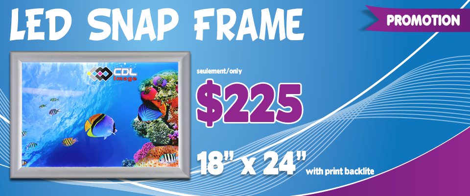 Promotion-Banners_snapframe